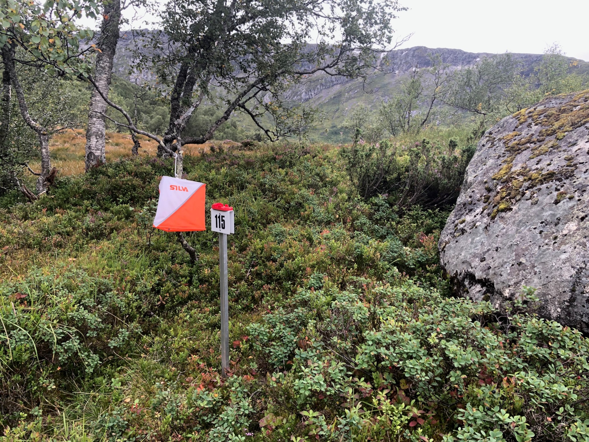 Sunnfjordorienteringa 29.5.